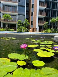 North Gaia (D27), Condominium #634656541